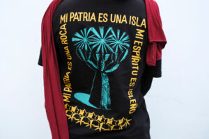 Camiseta Drago Canarias negra: imagen 7